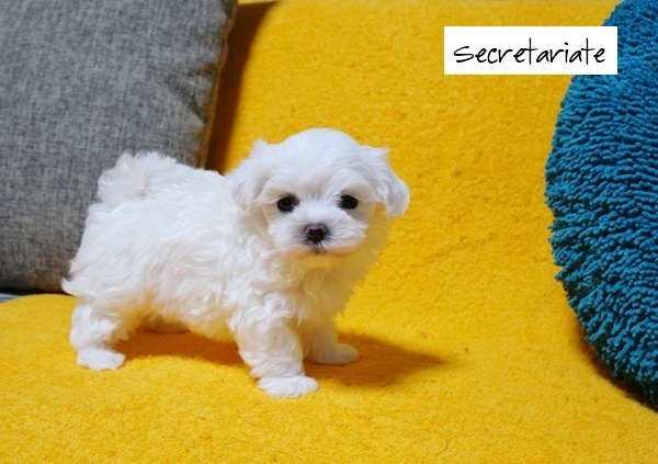 ◎チャーミングでとっても可愛いお嬢さん♪