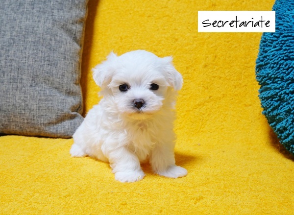 ◎チャーミングでとっても可愛いお嬢さん♪