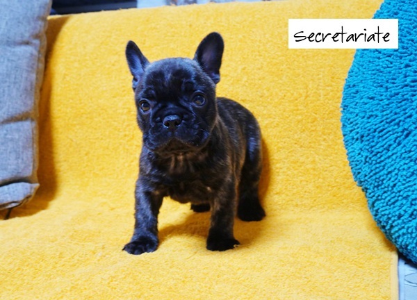 ☆ムチコロボディー！温和で優しい男の子♪