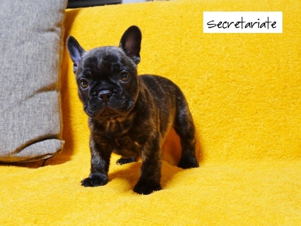 ☆ムチコロボディー！温和で優しい男の子♪