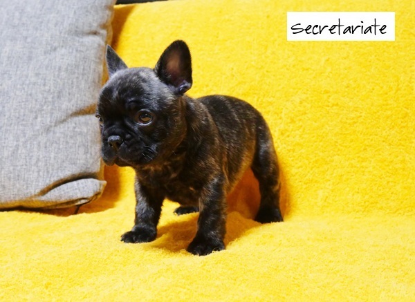 ☆ムチコロボディー！温和で優しい男の子♪